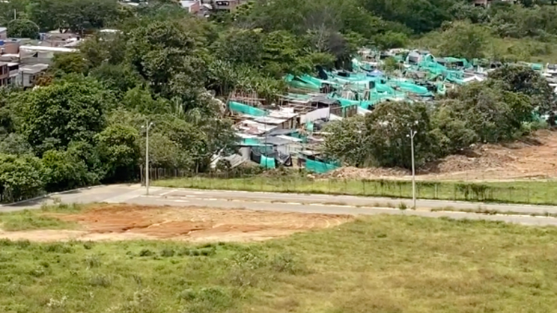Denuncian tala de árboles para continuar construyendo viviendas en invasión  de la comuna Ocho  - Noticias de Ibagué y Tolima