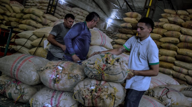 La Feria Internacional de Café del Tolima abre inscripciones para participar en subasta millonaria