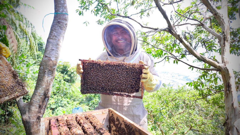 Apicultores de la zona rural de Ibagué serán certificados 