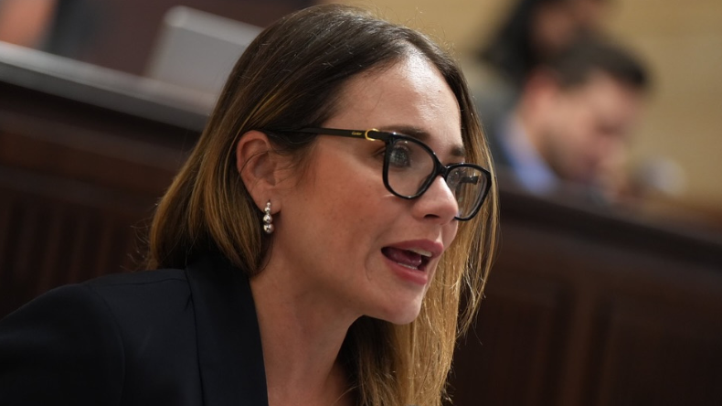 Carolina Arbeláez denunció que Petro buscaría crear colectivos para jóvenes que han delinquido 