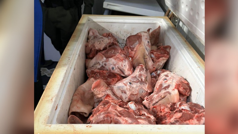 Incautan en Ibagué otros 244 kilos de carne en mal estado