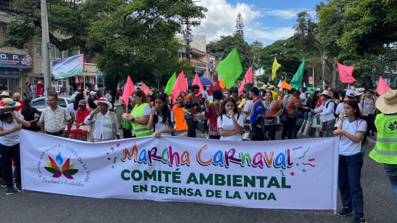 Avanza la marcha carnaval por la carrera Quinta de Ibagué