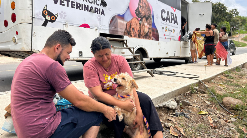 Este viernes en Ibagué habrá jornada de esterilización gratuita 