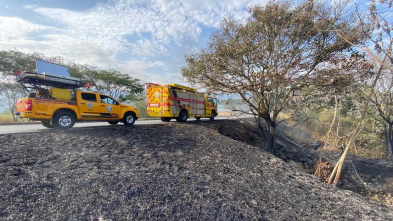 Más de 12 incendios forestales se registraron en Ibagué 