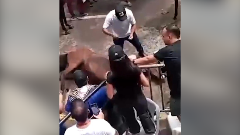 Denuncian maltrato de caballos en las fiestas de Neiva