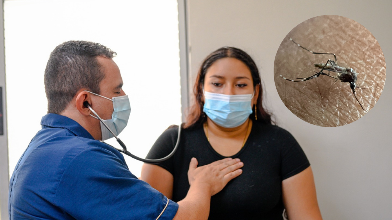 La variabilidad climática ha aumentado la proliferación de enfermedades en el Tolima