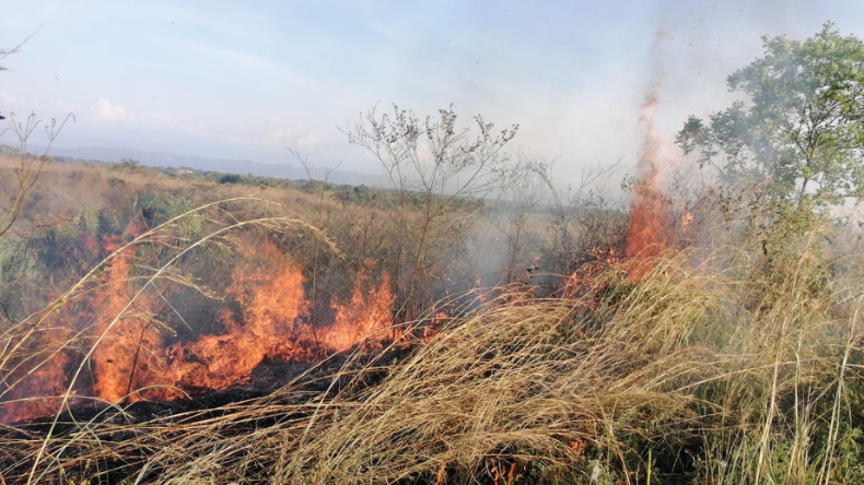 Elevadas temperaturas tienen al Tolima en alerta roja 