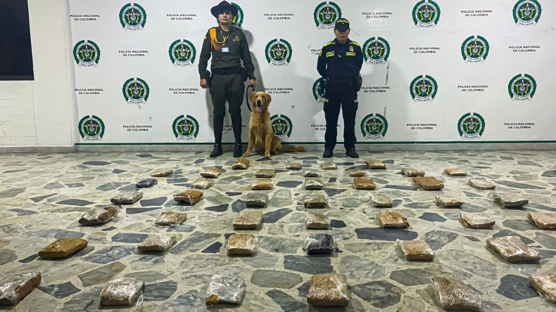 Canino halló 23 kilos de marihuana en la Terminal de Transportes de Ibagué