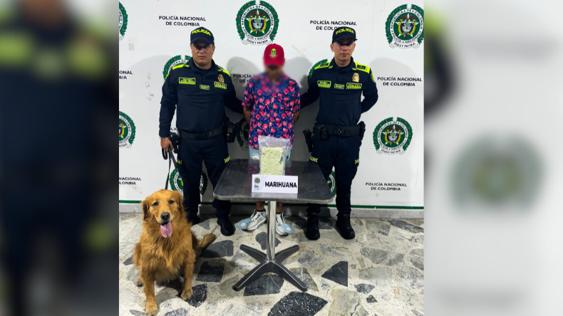 Canina encontró marihuana en la maleta de una viajera en el terminal de Ibagué