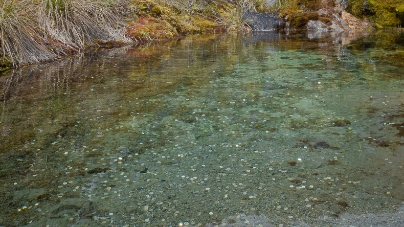 !Absurdo! Turistas lanzan monedas en lagunas del PNN para pedir deseos