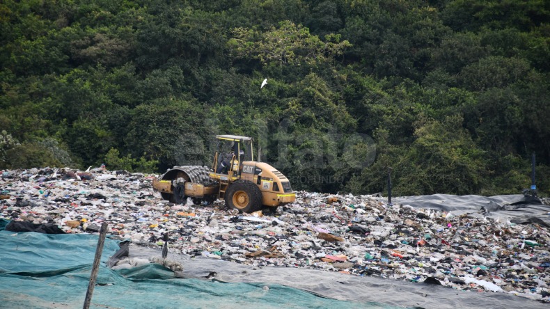 Ampliación de relleno sanitario La Miel afectará 1.500 especies arbóreas: concejal Zambrano