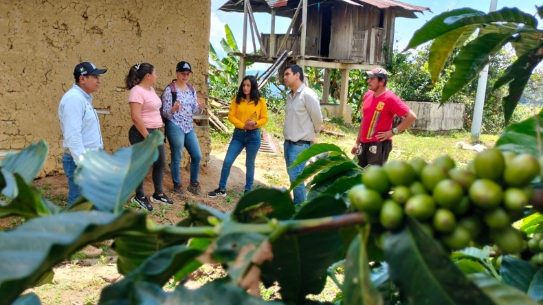 Con siete proyectos, el Tolima le apuesta a la ciencia, tecnología e innovación