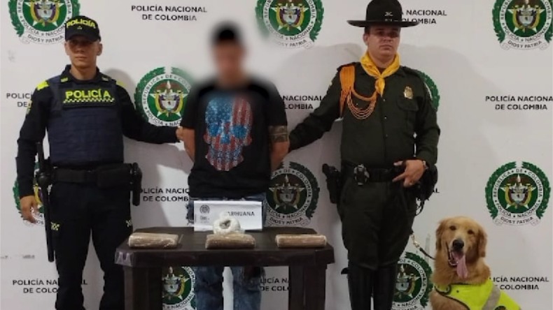 Incautan marihuana y drogas sintéticas en la Terminal de Transportes de Ibagué