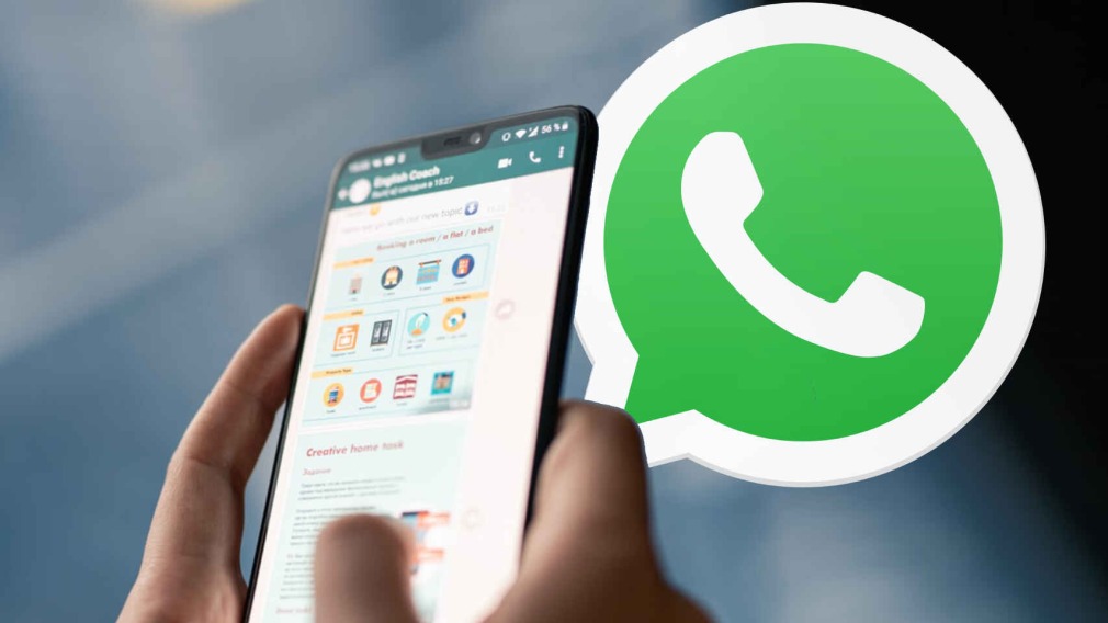 Reportan Caída Mundial De Whatsapp Facebook E Instagram Elolfatocom Noticias De Ibagué Y 