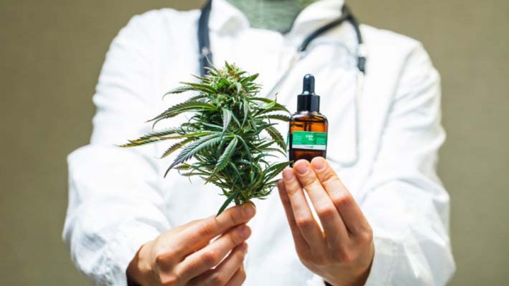 Conozca Los Beneficios Del Cannabis Medicinal Elolfatocom Noticias De Ibagué Y Tolima 5063