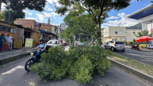 Camión chocó contra un árbol y tumbó una rama en la Guabinal