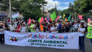 Avanza la marcha carnaval por la carrera Quinta de Ibagué