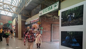 Inauguran muestra fotográfica de personas desaparecidas en la Terminal de Ibagué