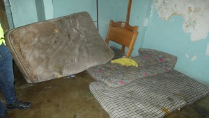 Cierran residencias en Ibagué por ratones, excremento y orina humana