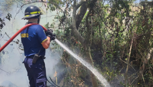  15 incendios forestales se registraron en Ibagué durante el fin de semana