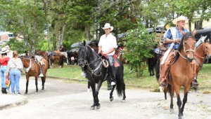 Procuraduría pide garantías para caballos durante las fiestas en el Tolima