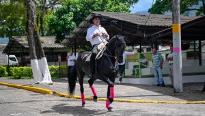 Conozca la programación oficial de la Feria Agropecuaria, Industrial y Bovina grado ‘A’