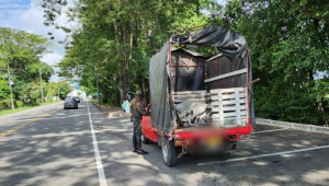 23 personas fueron capturadas en el Tolima durante el fin de semana