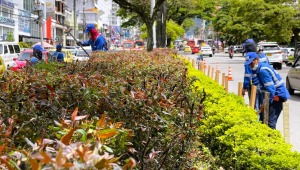 Iniciaron cerramientos de separadores de la Quinta para fiestas de junio