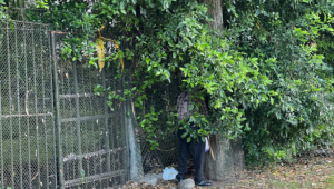 Denuncian a hombres que realizan actos obscenos frente al Liceo Nacional