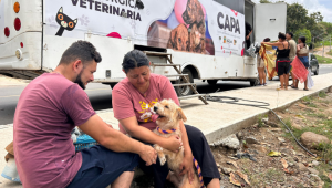 Este viernes en Ibagué habrá jornada de esterilización gratuita 