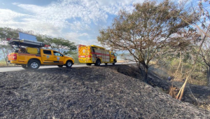 Más de 12 incendios forestales se registraron en Ibagué 