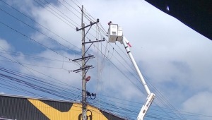 Celsia denuncia aumento de hurto de cables de electricidad en Ibagué