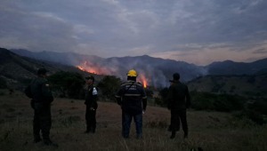 Quemas controladas: la mayor causa de los incendios en el Tolima