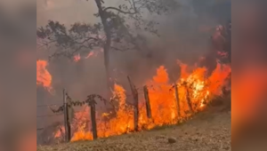 El Tolima en alerta roja por riesgo de incendios forestales