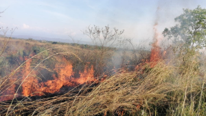 Elevadas temperaturas tienen al Tolima en alerta roja 