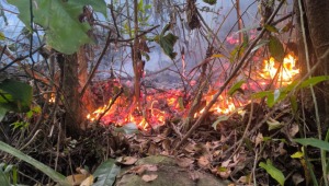 Bomberos controlaron incendio en vereda del Carmen de Bulira