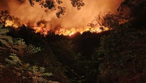 Cuerdas de alta tensión provocaron grave incendio forestal en Prado 