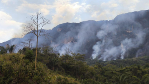 Incendio forestal en Purificación lleva cinco días sin poder sen controlado