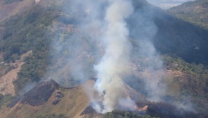 Organismos de socorro siguen intentando apagar incendio en Natagaima