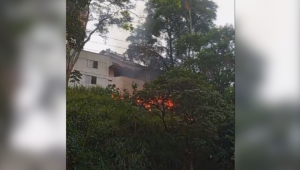  Reportan incendio en el Parque Centenario de Ibagué