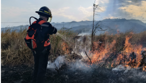 Cuatro incendios forestales se registraron en Ibagué durante esta semana