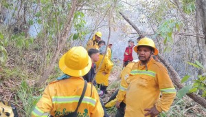 En el Tolima hay 13 incendios forestales activos