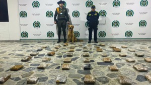 Canino halló 23 kilos de marihuana en la Terminal de Transportes de Ibagué