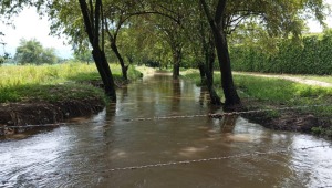 Emergencias por lluvias en el Tolima