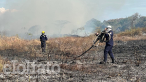 Altas temperaturas en Ibagué tienen disparados los incendios forestales