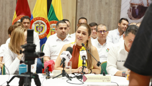 “La decisión del Consejo de Estado hace justicia con el Tolima”: Adriana Matiz