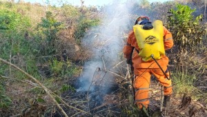 Organismos de socorro atendieron incendio forestal en Melgar