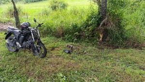 Motociclista falleció en la vía Ibagué - Alvarado tras chocar contra un árbol