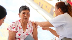 Vacúnese contra la fiebre amarilla y evite esta enfermedad que puede ser letal