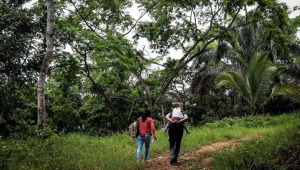 Nuevos libros profundizan en el conflicto armado del Tolima y la construcción de paz